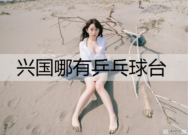 兴国哪有乒乓球台