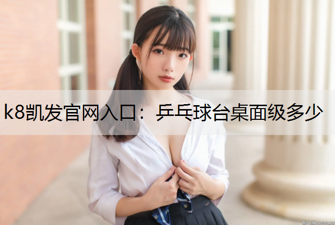k8凯发官网入口：乒乓球台桌面级多少