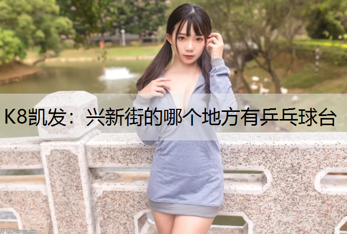 K8凯发：兴新街的哪个地方有乒乓球台