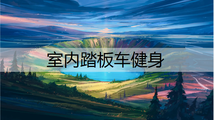室内踏板车健身
