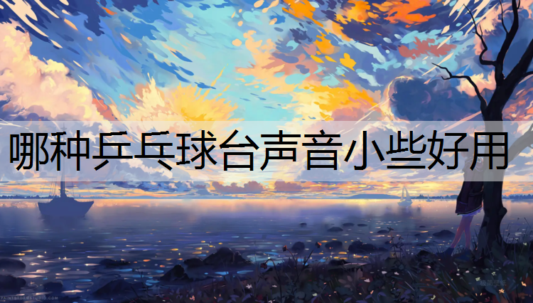 哪种乒乓球台声音小些好用