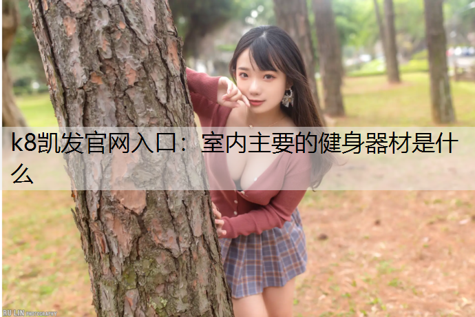 k8凯发官网入口：室内主要的健身器材是什么