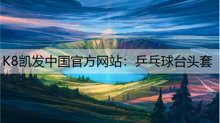 K8凯发中国官方网站：乒乓球台头套