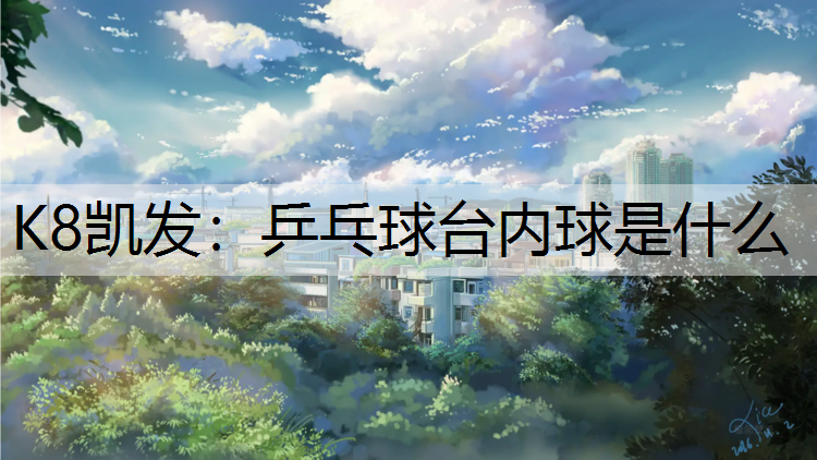 K8凯发：乒乓球台内球是什么