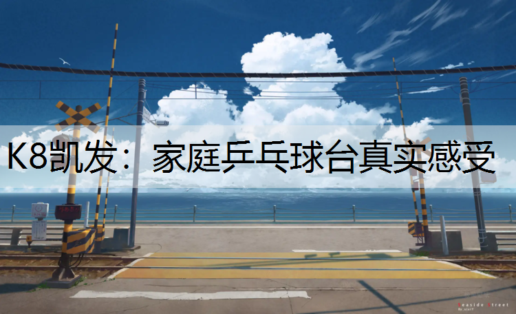 K8凯发：家庭乒乓球台真实感受