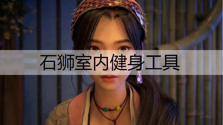 石狮室内健身工具