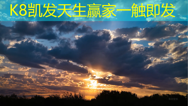 K8凯发天生赢家一触即发：塑胶跑道动物图装