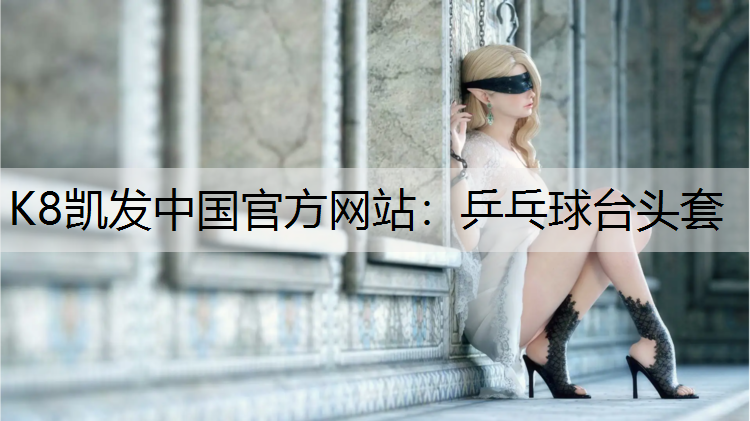 乒乓球台头套