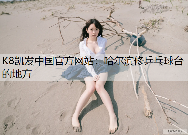 哈尔滨修乒乓球台的地方