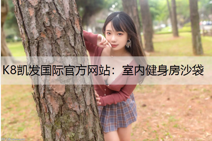 室内健身房沙袋