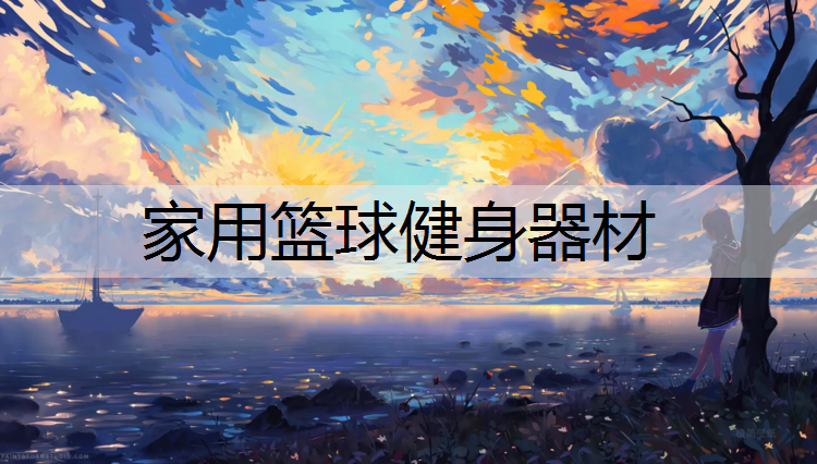 家用篮球健身器材