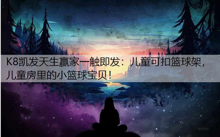 儿童可扣篮球架，儿童房里的小篮球宝贝！